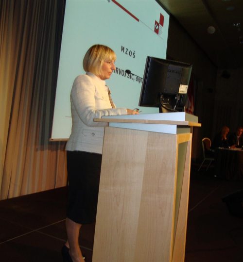 Dubrovnik 2011 (22) (Large)